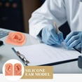 thumbnail image 4 of HLONK2pcs Human Ear Models Silicone Piercing Ear Models Artificial Ear Model Teaching Model, 4 of 6