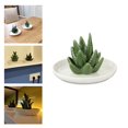 thumbnail image 4 of Organizador de platos decorativo con soporte de cerámica de aloe para joyas, ideal para mujeres y niñas. Estilo 2, 4 of 9
