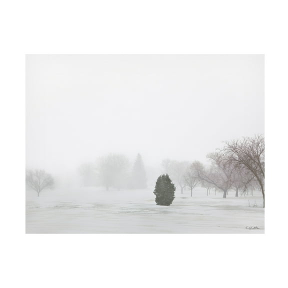 Canvas Wall Art - Kent Burkhardsmeier 'Growth' Wall Art for Living Room, Bedroom, or Office Décor by Trademark Fine Art - 19 x 14 Inches