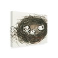 thumbnail image 2 of Samuel Dixon 'Nesting Eggs II' Canvas Art, 2 of 3