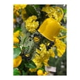 thumbnail image 4 of 30" Spring Wildflower Bee Pick, 4 of 4