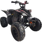 HHH Sports ATV 125cc ATV Platinum ATV CT 125-C is Fully Automatic Vitacci 125cc ATV with Reverse and Strong Tires and Matching Rims (Blue Color)