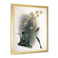 thumbnail image 2 of Designart 'Ancient Orchid Flower' Traditional Framed Art Print, 2 of 4