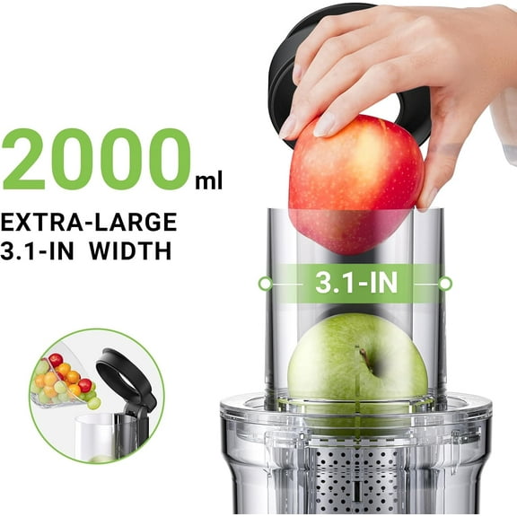 Cold Press Juicer