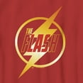 thumbnail image 2 of Boy's The Flash Gold Lightning Emblem Graphic Tee Red X Small, 2 of 4