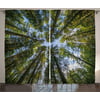 Nature Curtains 2 Panels Set, Wild Jungle Moss Forest Crown Trees Leaves Nature Photo Artwork Print, Window Drapes for Living Room Bedroom, 108W X 63L Inches, Sky Blue and Forest Green, by Ambesonne