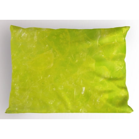 lime green pillow sham