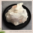thumbnail image 5 of 10Pcs Seafood Boil Bags, NOGIS Washable Reusable Produce Bags for Steaming and Boiling Clams, Lobster, Crawfish, Crabs, King Crab Legs, Potatoes, Vegetables - 14 x 5 Inches, 5 of 7