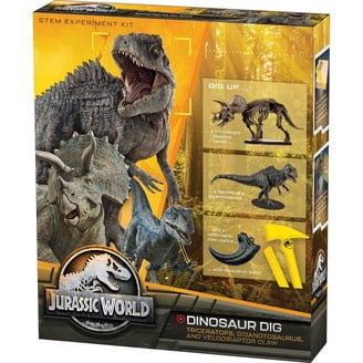 Kit De Excavación De Dinosaurios – Desentierra Garra De T-Rex Y Espina De Anquilosaurio, Juguete STEM Con Herramientas Y Marco Para Exposición, De 6 A 12 Años