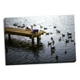 thumbnail image 2 of Gango Home Decor Feeding the Geese IV by Alan Hausenflock (Ready to Hang); One 36x24in Hand-Stretched Canvas, 2 of 4