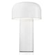 thumbnail image 1 of Led Creative Mushroom Rechargeable Table Lamp 3w 3 Lighting white, 1 of 4