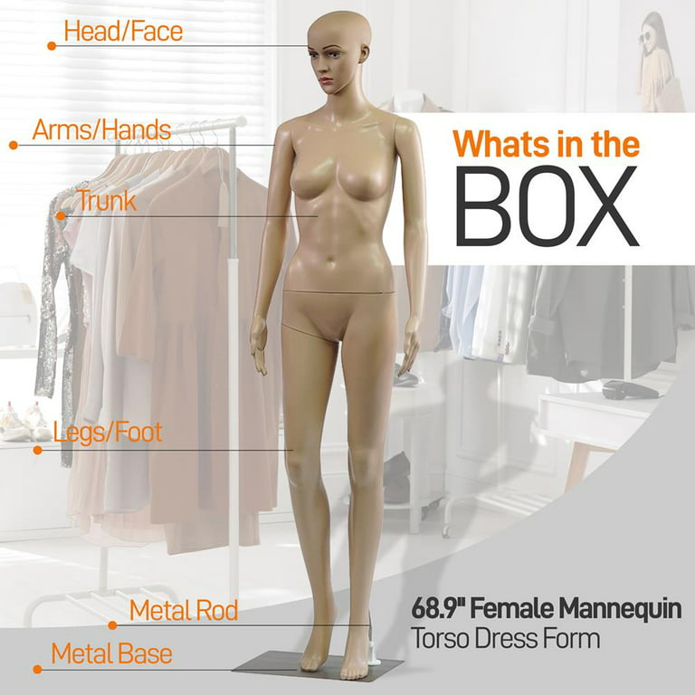 Female Mannequin Full Body, 69 Adjustable Detachable Poseable Female Dress  Form Full Body Mannequin Poseable Life Size Mannequin Torso with Metal