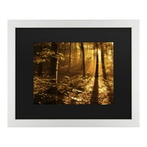 Trademark Fine Art 'Morning Light' Canvas Art by Philippe Sainte-Laudy