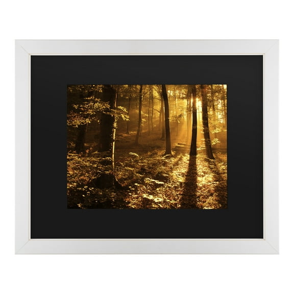 Trademark Fine Art 'Morning Light' Canvas Art by Philippe Sainte-Laudy