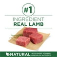 thumbnail image 3 of Purina ONE Plus Small Breed Lamb and Rice Formula Dry Dog Food - 7.4 lb. Bag C21, 3 of 3