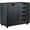Black, variant on Bowery Hill 5-Drawer Wide Door Contemporary Wood Storage Cabinet in Black
