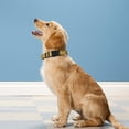 thumbnail image 2 of Reflective Dog Collar, Adjustable Soft Neoprene Padded Nylon Pet Collars with Buckle for Small Dogs, Navy Blue,S, 2 of 6