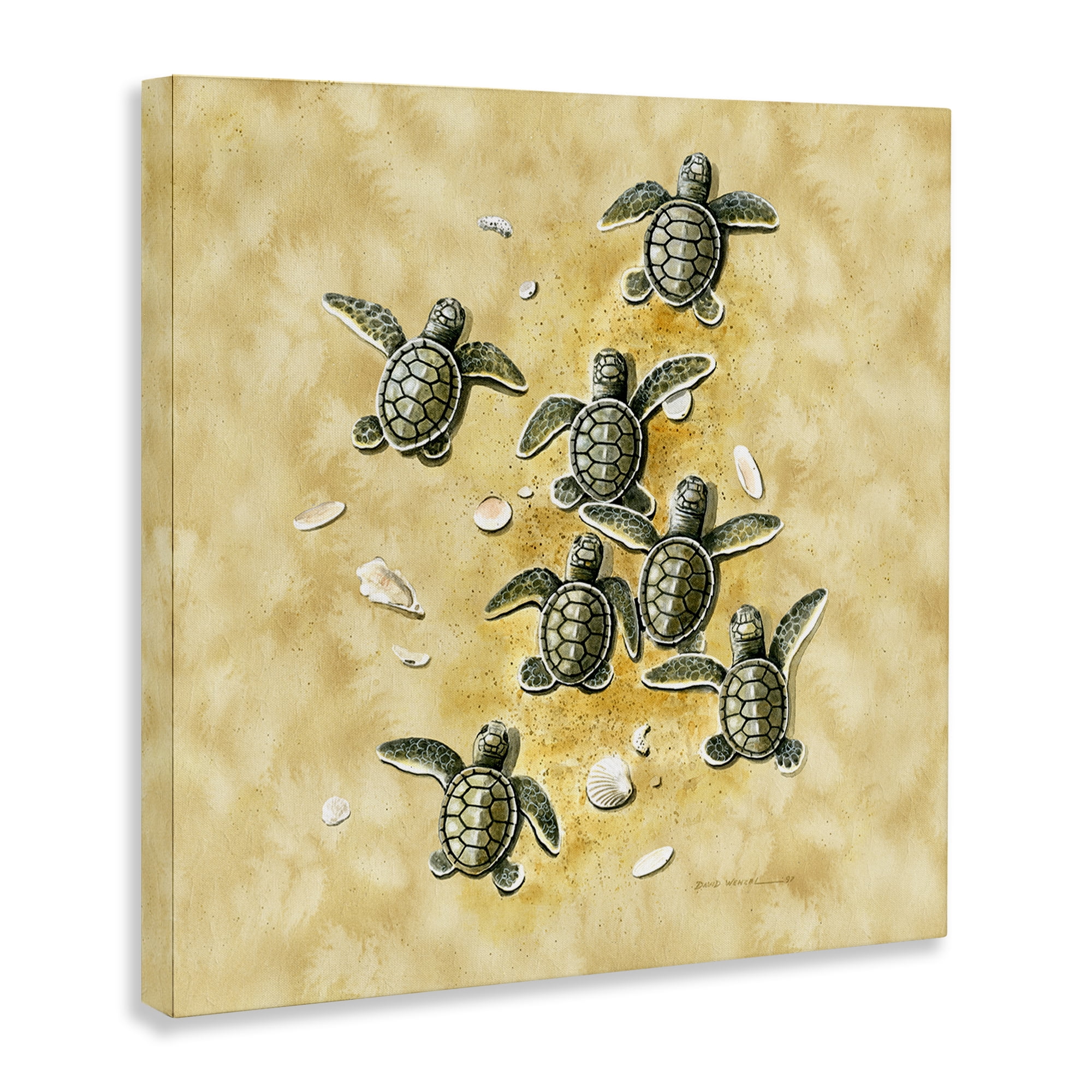 Stupell Industries Baby Sea Turtles Shore Animals Painting Wrapped Canvas Art Print Wall Art, 30 x 30