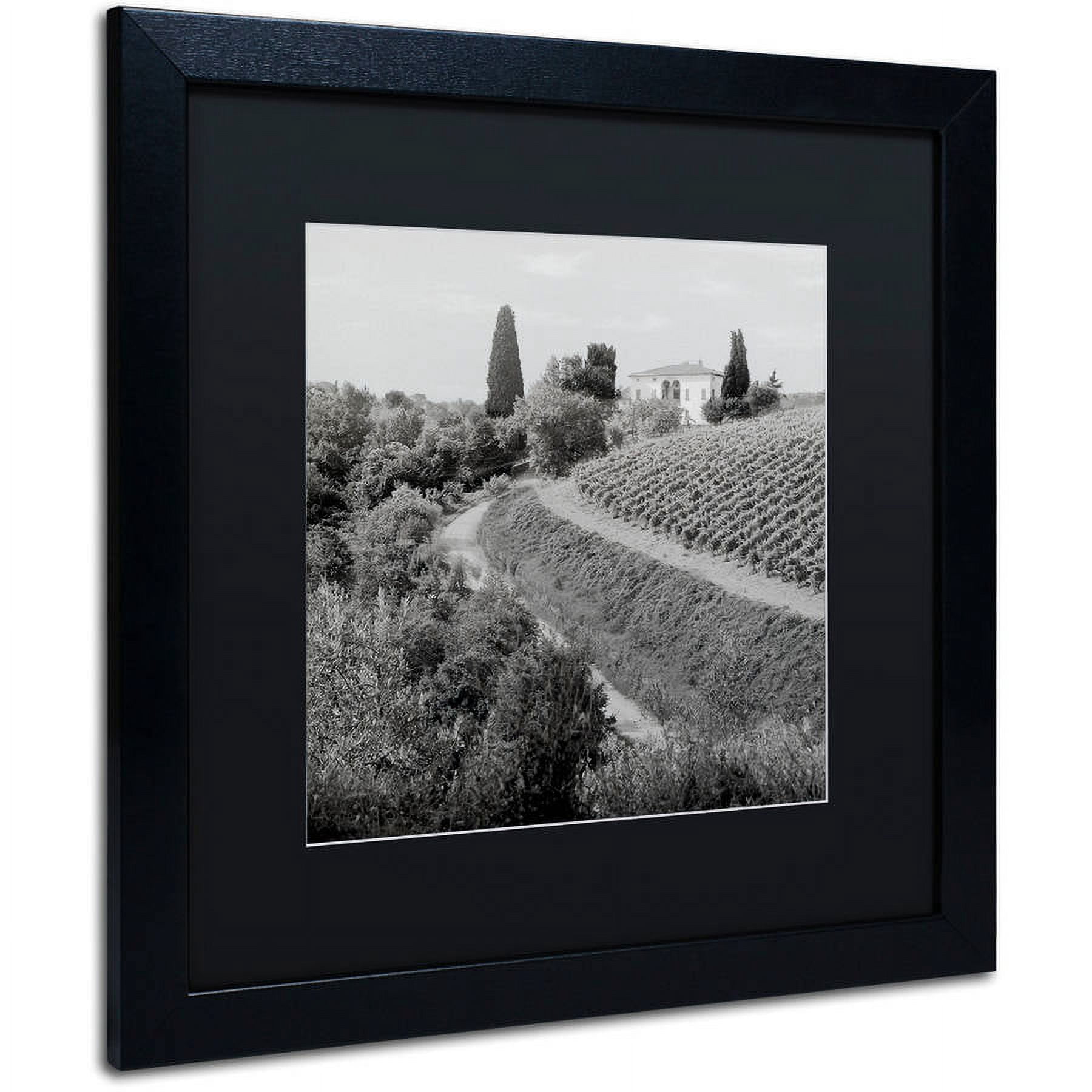 Trademark Fine Art "Tuscany V" Canvas Art by Alan Blaustein, Black Matte, Black Frame