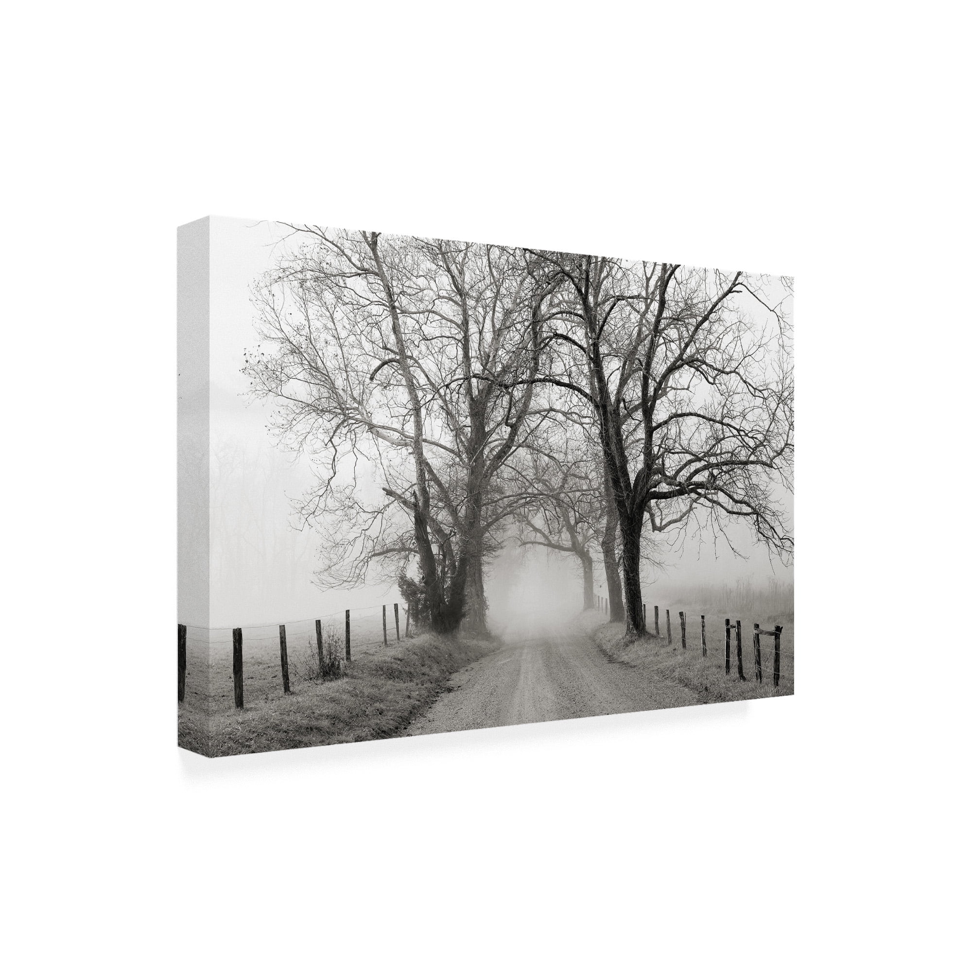 Trademark Fine Art 'Sparks Lane, Late Autumn' Canvas Art by Nicholas Bel