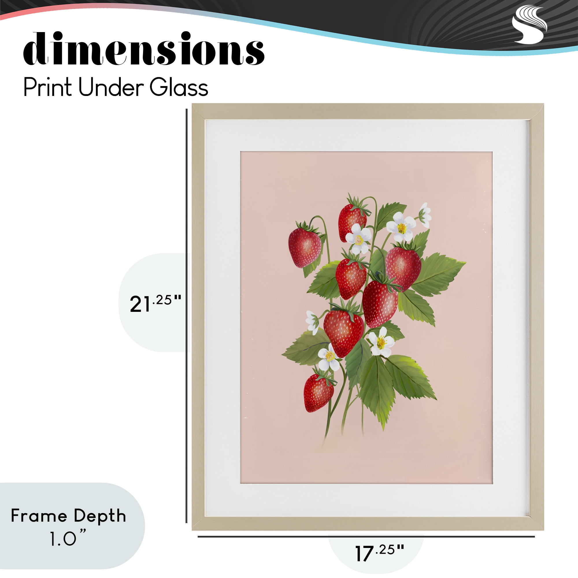 Stupell Industries Cottage Garden Strawberries Birch Framed Print Under Glass, design by Diane Neukirch
