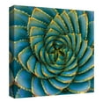 thumbnail image 4 of Masterpiece Art Gallery Aloe Polyphylla I Square Bright Succulent By Robin Constalbe Hanson Canvas Art Print 35" x 35", 4 of 4