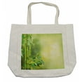 thumbnail image 1 of Spa Shopping Bag, Green Nature Bamboos with Other Tree Braches and Bushes Image, Eco-Friendly Reusable Bag for Groceries Beach and More, 15.5" X 14.5", Cream, by Ambesonne, 1 of 2