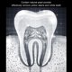 thumbnail image 4 of Tooth whitening powder teeth cleaning powder oral plaque remover powder oral stains removal powder oral cleaning tool 50g Tooth Whitening Powder Teeth Oral Cleaning Plaque Stains ANGGREK Otros, 4 of 8