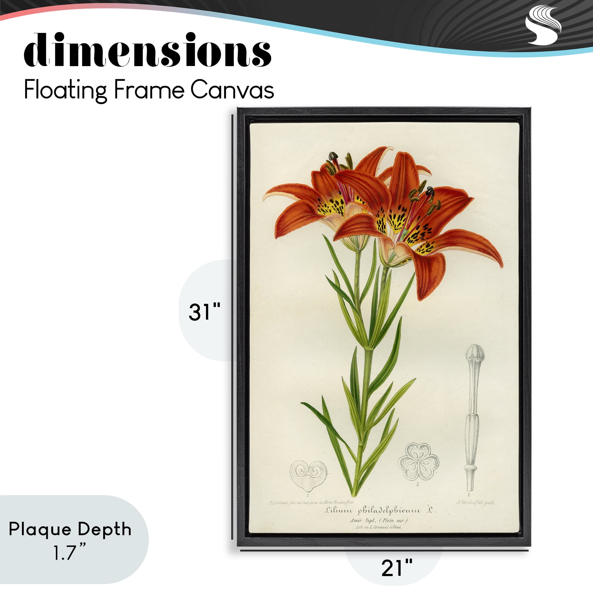 Stupell Industries Western Red Lily Black Framed Floater Canvas Wall Art, design by Print Collection