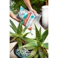 thumbnail image 5 of ARQLITE Smart Gravel - Eco Friendly Plant Drainage for Healthy Roots, Pots, Garden Beds, & Decor | Lightweight (1 Gal Bag), 5 of 9