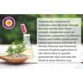 thumbnail image 4 of Thieves Aromatherapy Essential Oil Roll On 10ml - Blend with Clove, Lemon, Cinnamon & Eucalyptus Oils for Herbal Wellness Aroma, 4 of 4