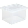 IRIS Letter and Legal Size File Storage Box, Clear