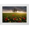 thumbnail image 1 of Rericha, Daniel 32x23 White Modern Wood Framed Museum Art Print Titled - Blooming Tuscany, 1 of 4