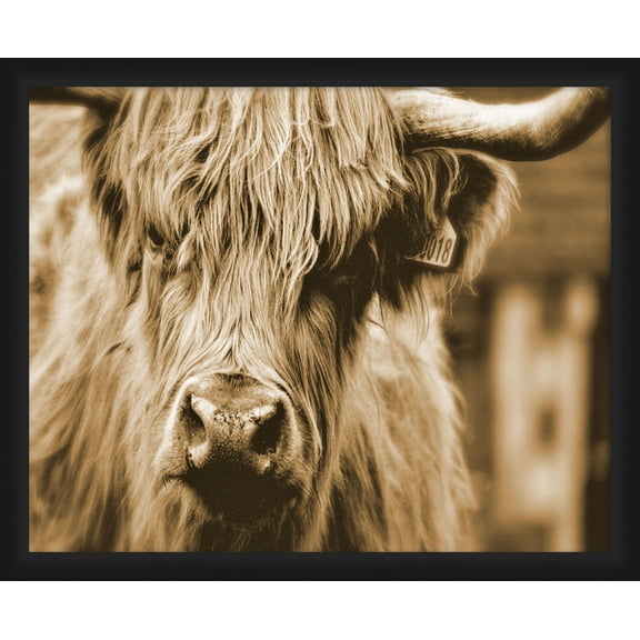 PTM Images Graphic Prints Abstract Framed Art Prints