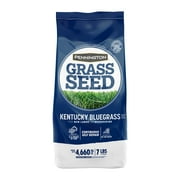 Pennington Kentucky Bluegrass Northern Grass Seed Mix for Sun to Partial Shade, 7 lb