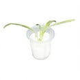 thumbnail image 1 of 100Pcs Garden Plastic Net Cups Slotted Mesh Net Cups Planting Basket Cup Set Wide Lip Bucket Basket for Hydroponics, 1 of 2