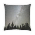 thumbnail image 2 of Ahgly Company State West Virginia Indoor Throw Pillow, 18 inch by 18 inch, 2 of 6