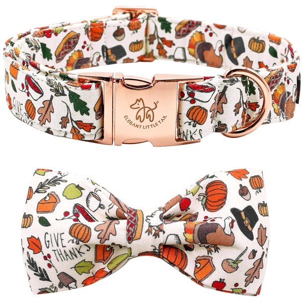 Collar de perro Elegante colita con lazo para perros grandes