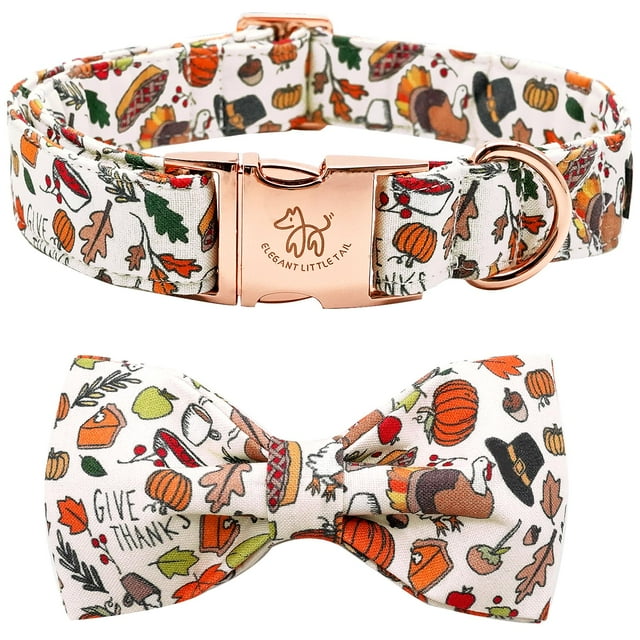 Collar de perro Elegante colita con lazo para perros medianos