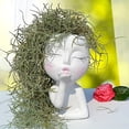 thumbnail image 3 of Adorno de resina para muñeca creativa de horticultura, maceta suculenta, pila vieja, planta verde, maceta profunda, cabeza humana, flor, 3 of 6