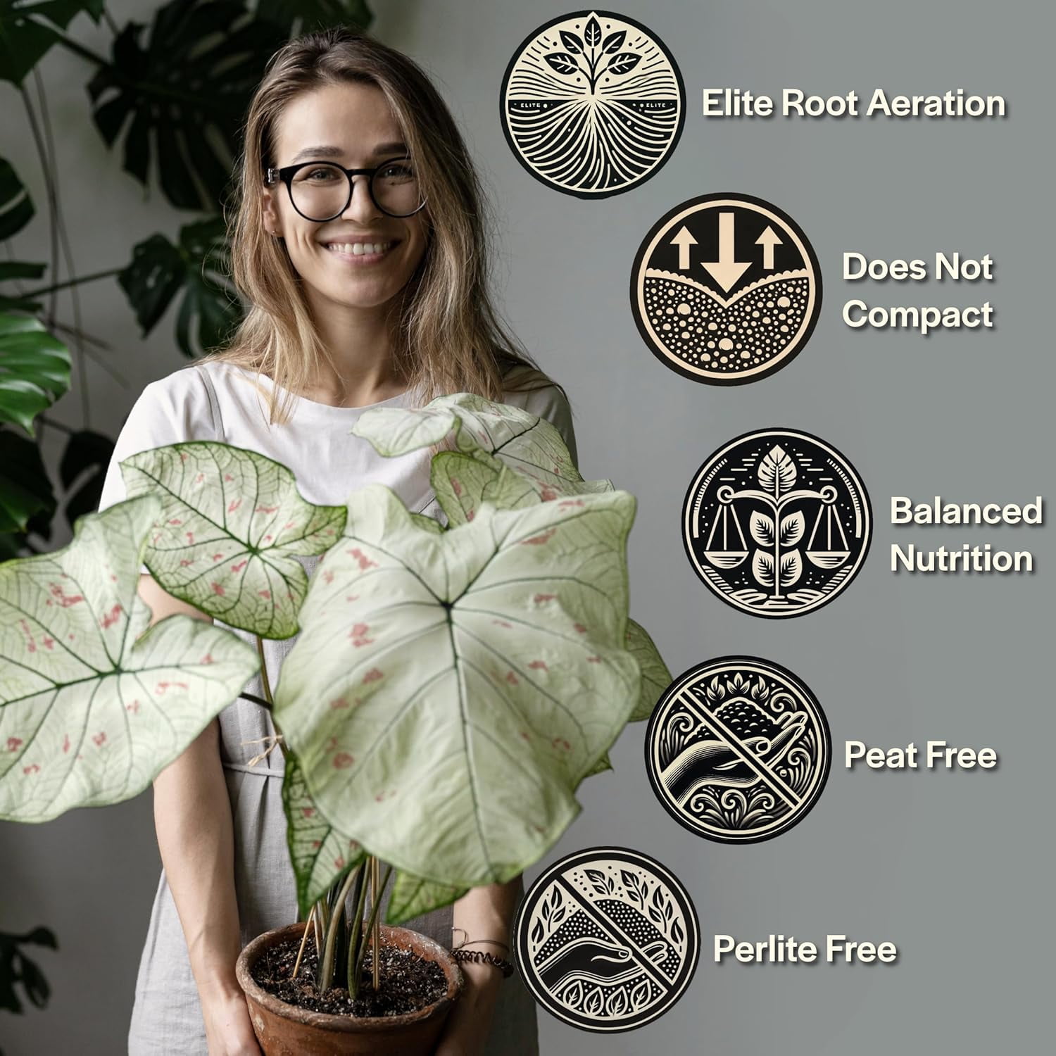 Craft Aroid Potting Mix- Elite Organic Alocasia, Philodendron, a Soil Mix, Chunky, Well Draining for Indoor Plants, All Tropical Plants & Houseplants, Perlite Peat Free 2QT