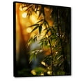 thumbnail image 2 of Designart "Sunset Photography With Bamboo V" Bamboo Floater Framed Canvas Prints, 2 of 5