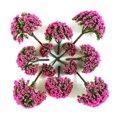 thumbnail image 4 of 28pcs Modelo de árboles Modelo de árbol de colores mezclados Mini árbol verde, 4 of 7