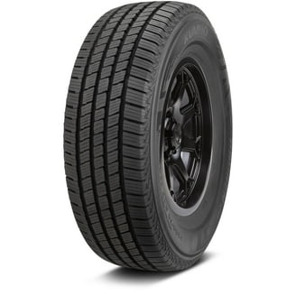 Nankang Conqueror AT-5 245/70R17 112 T Tire - Walmart.com