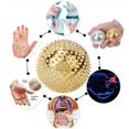 thumbnail image 3 of Magnetic Massage Ball, Easy To Use Massage Ball Comfortable  For Plantar Fasciitis For Relieve The Muscle Soreness For Myofascial Release, 3 of 8