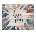 thumbnail image 3 of Designart 'Inspiring Quote With Boho Feathers' Bohemian & Eclectic Print on Natural Pine Wood, 3 of 5