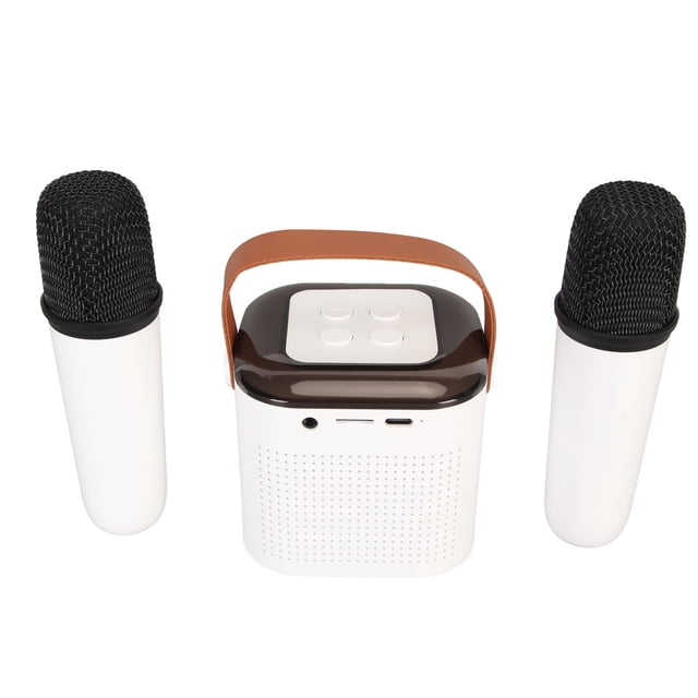Mini Karaoke Machine with 2 Microphones, Portable Speaker for Kids Adults,Premium Sound, RGB Light Effect, Easy to Connect, Karaoke Machine for Home Party