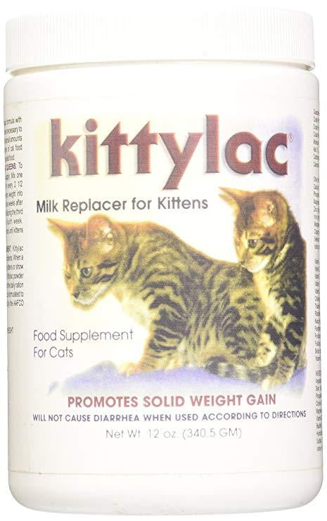 milk replacement for kittens walmart