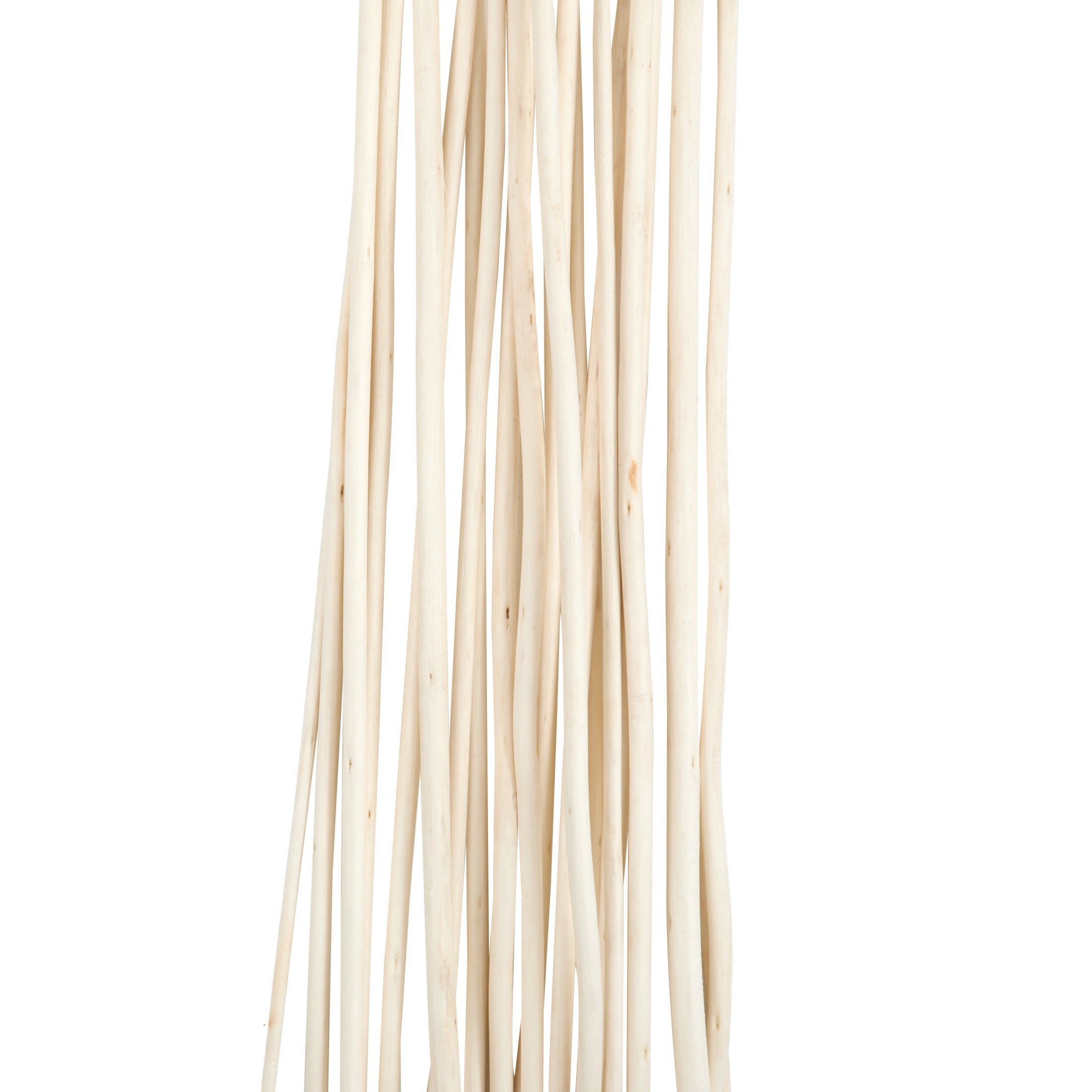 60" Tall Sticks Jute Rope Natural Foliage Bouquet, by DecMode