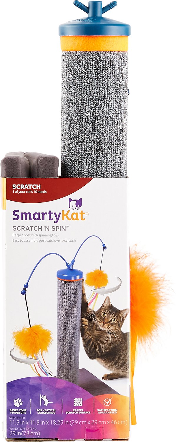 smarty cat scratching post